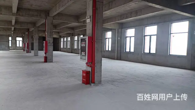 首付2成 长可贷20年独栋园区厂房出售 - 图片 12