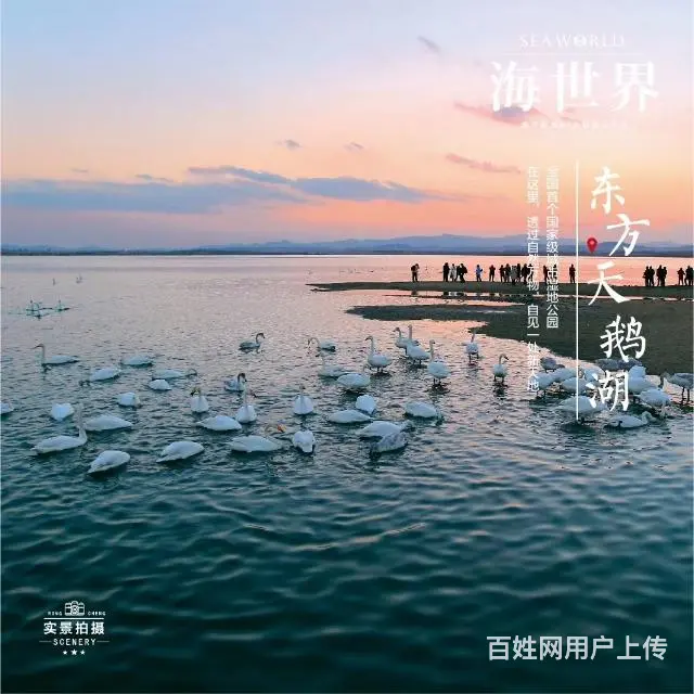 荣成樱花湖海世界 南北通透一线精装海景房，空气清新环境优雅 - 图片 8