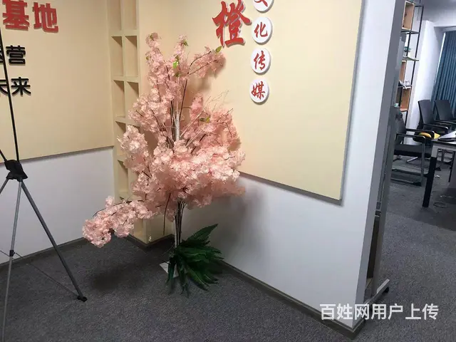 直播公司转让 - 图片 1