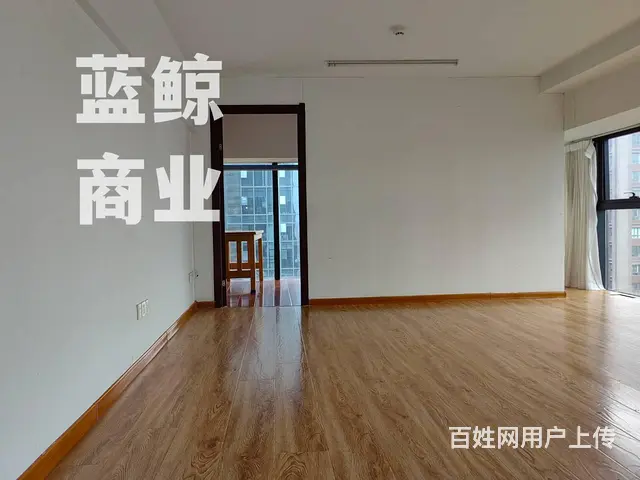新城绿地蓝海120平复式 - 图片 5
