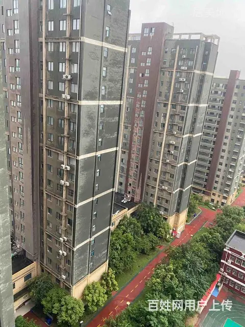 精装修 - 图片 3