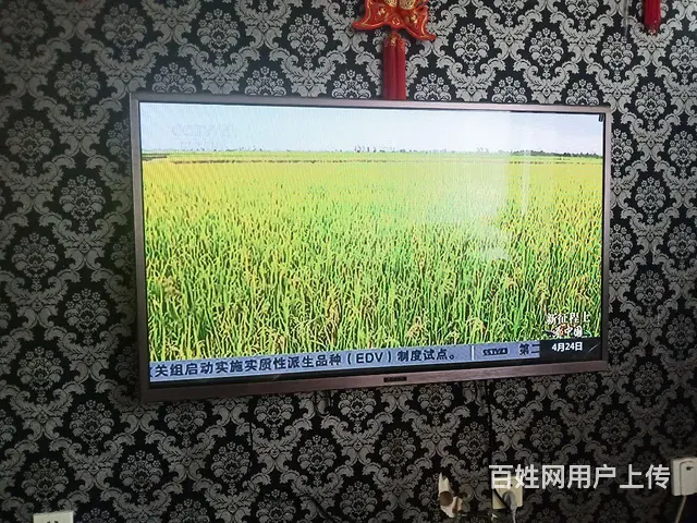 电视便宜了 - 图片 2