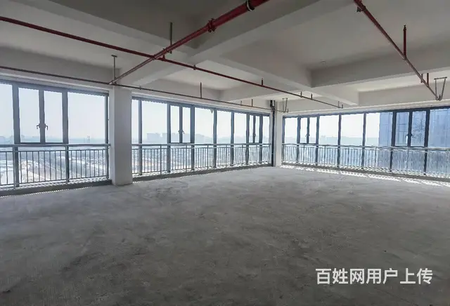 鲸丰全新写字楼出租 45平到2000平都有 纯办公 环境好 - 图片 7