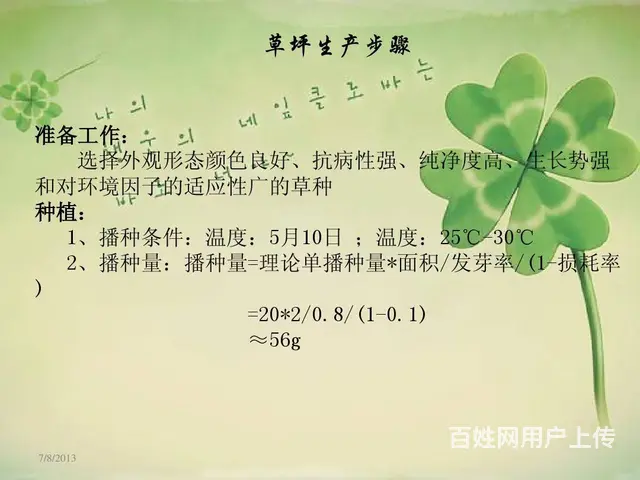 白三叶草籽秋播与利用 - 图片 3