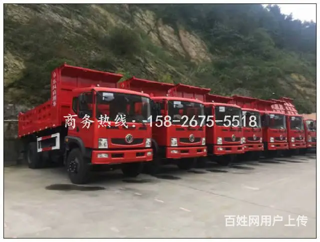 新款4108-4110自卸车包上拖拉机牌和蓝牌 - 图片 10
