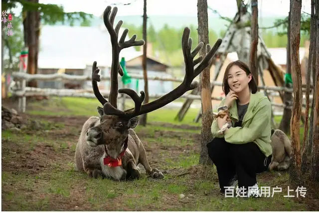 呼伦贝尔阿尔山漠河旅游包车攻略，推荐靠谱师傅 - 图片 2