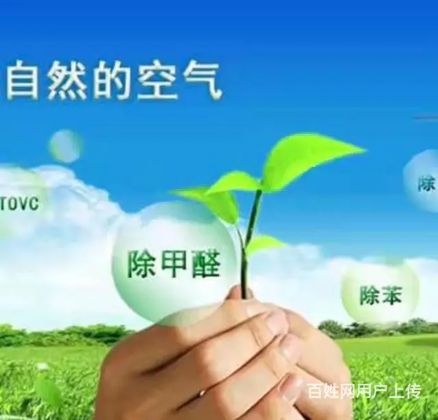 除甲醛 甲醛检测 空气治理家庭保洁 瓷砖美缝 - 图片 1