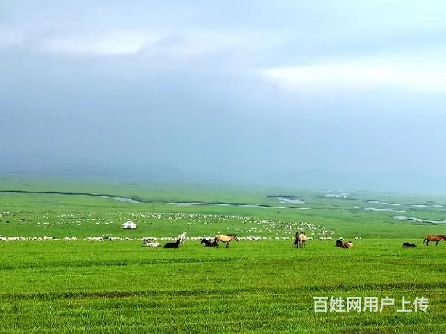 内蒙古呼伦贝尔旅游包车常师傅排名靠谱 - 图片 5
