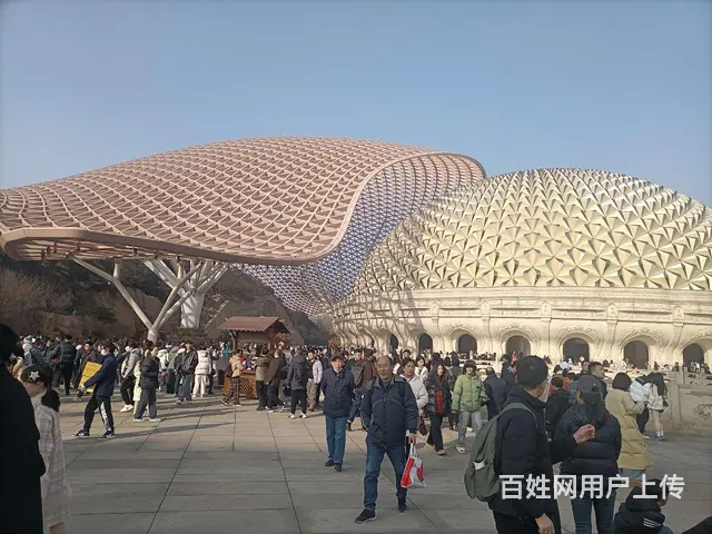 寻找生活伴侣 - 图片 4