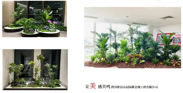 成都绿化养护 种植 专业园林公司 设计施工一体 - 图片 4