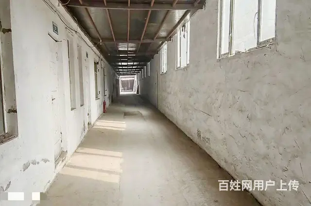 香坊区进乡街黎明大市场后身厂房出租 - 图片 7