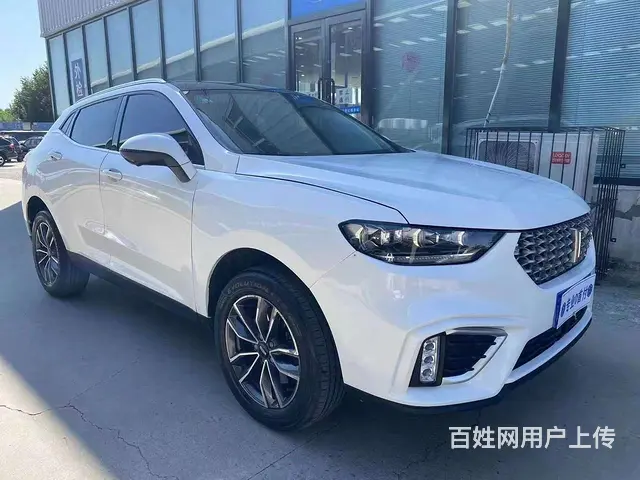 WEY VV5 2020款 1.5T 双离合 两驱颜先锋 - 图片 2