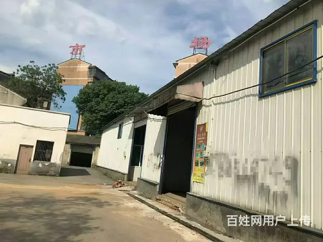 （老板本人）月湖大市场厂房/仓库/门面出租  5783 - 图片 2