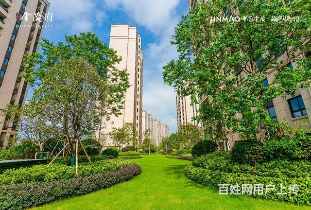 区政府旁，金茂府一拖二，社区底商急售，户型方正，先到先得 - 图片 9