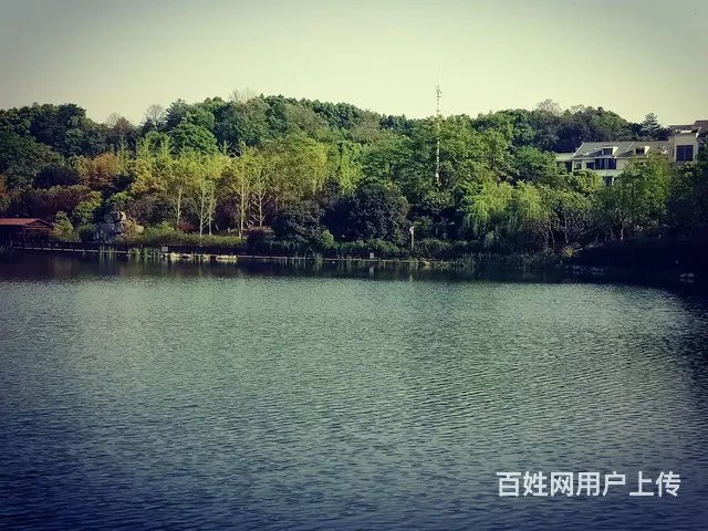 前后花园电梯防空洞近400平豪宅 - 图片 2