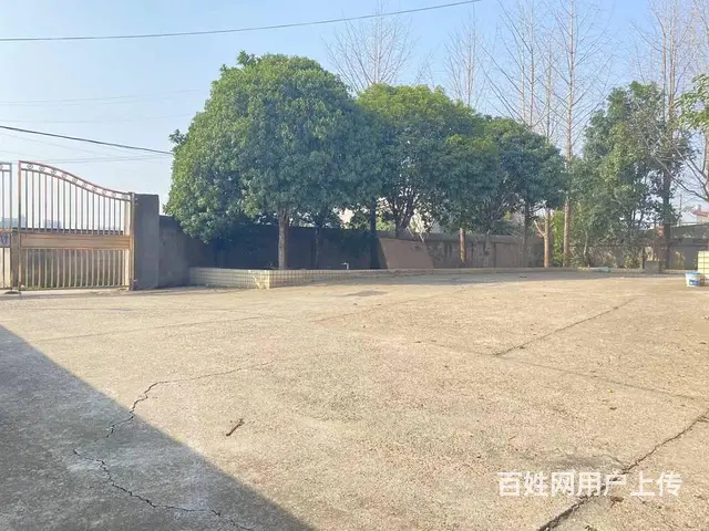 （老板本人）开福区凤羽小学旁独门独院厂房/仓库出租 6917 - 图片 7