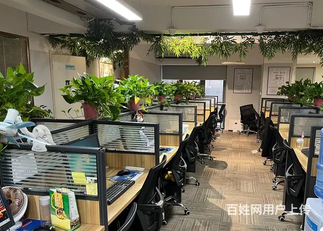 台式机电脑低价出租 量大优惠 - 图片 2