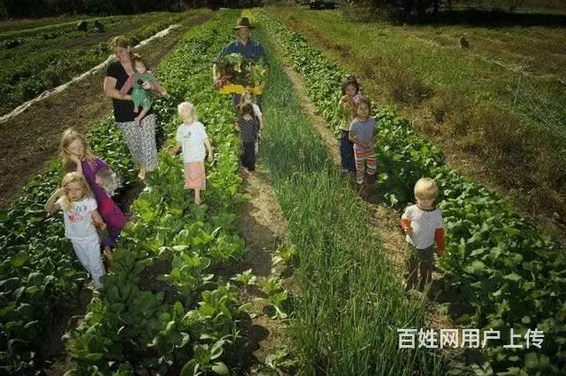 出国劳务正规工签招澳大利亚农场工地奶粉厂岗位 - 图片 4