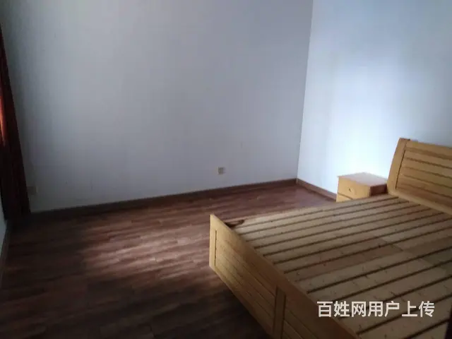 南洋国际房屋出租 - 图片 3