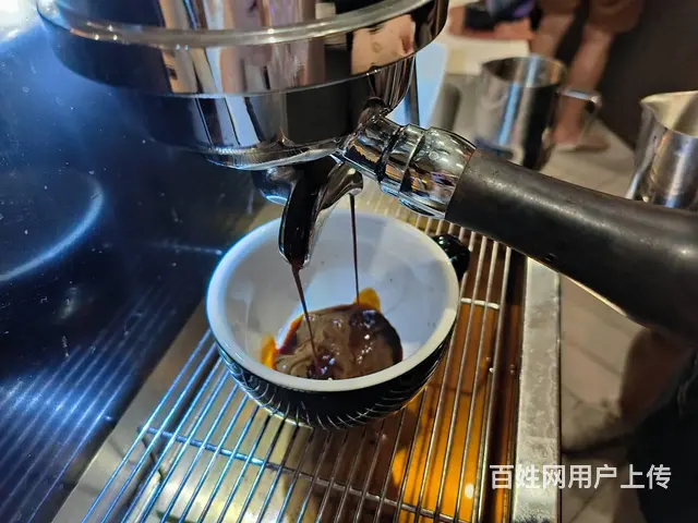 开启咖啡之路品味浓香与独特风味，苏州咖啡小班课 - 图片 4
