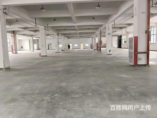 临安天目山镇7500方厂房出租（可分租） - 图片 6