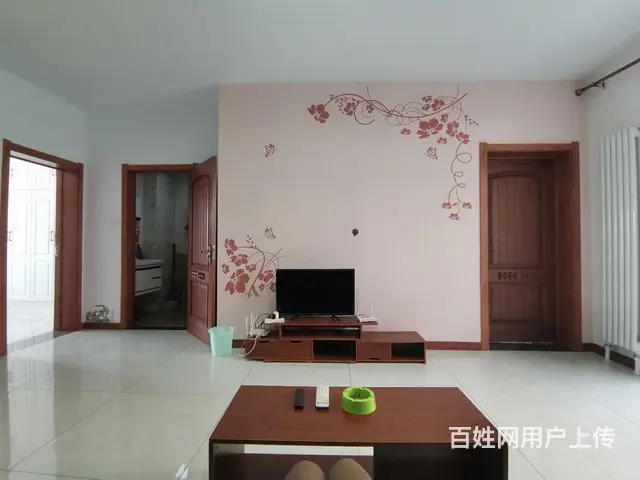 日租房 。日租 短租 100元/天 精装修 - 图片 3