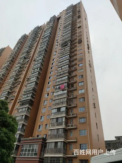 5号线科普公园奥山世纪城武汉科技大学武商奥莱林秀家 - 图片 11