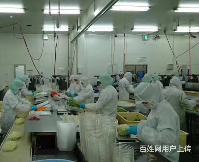 无前期费用出国打工不是梦专业办理欧洲26国出国务工 - 图片 5