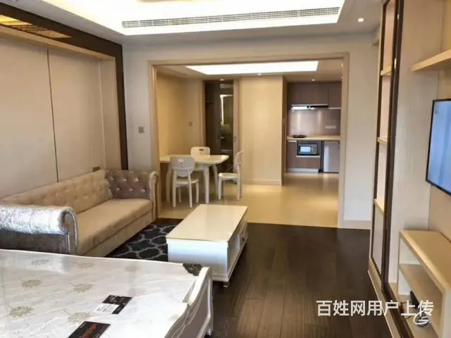 同方国际欧式1房朝南 新塘路闸弄口 绿地华家池 景芳物产国际 - 图片 4