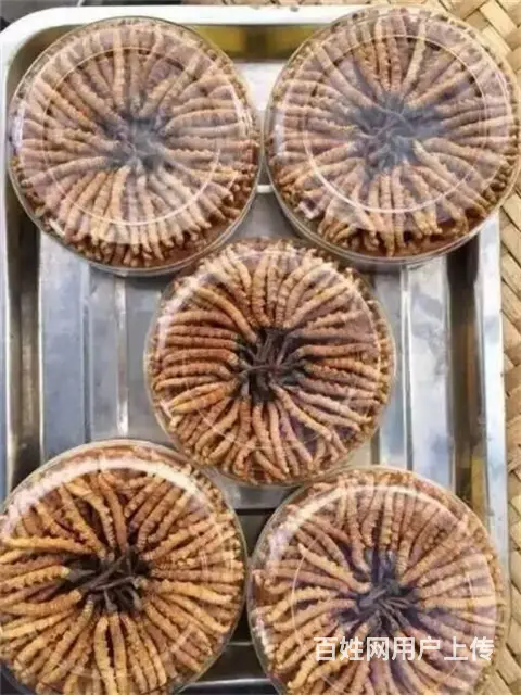 花都回收冬虫夏草店铺-花都发霉虫草专业回收 - 图片 10