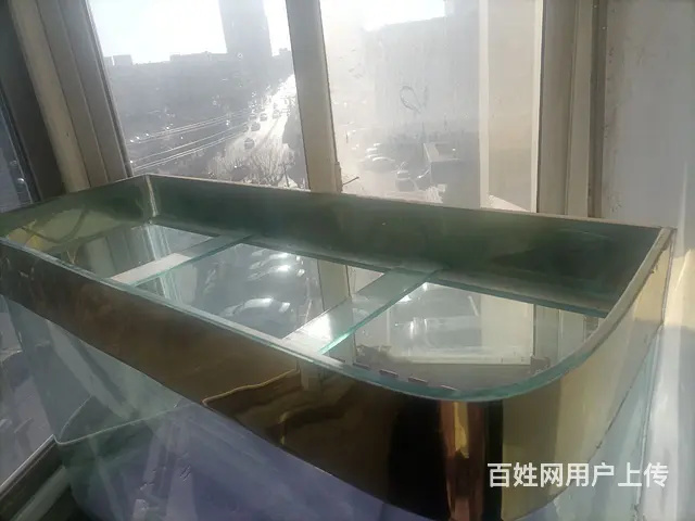 鱼缸 - 图片 2