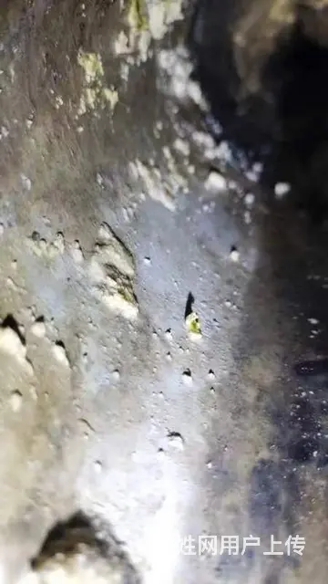 哈尔滨疏通下水.清掏地沟.高压疏通除油.化粪池改建 - 图片 3