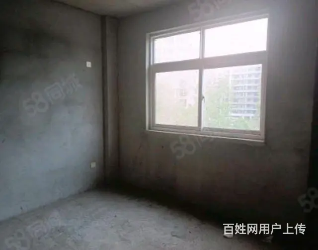 低价出售 南北通透电梯毛坯房，超大楼间距，绿化好 - 图片 3