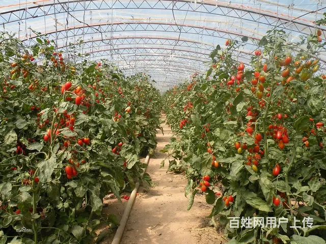 离家近的香港普工高薪岗位 - 图片 2
