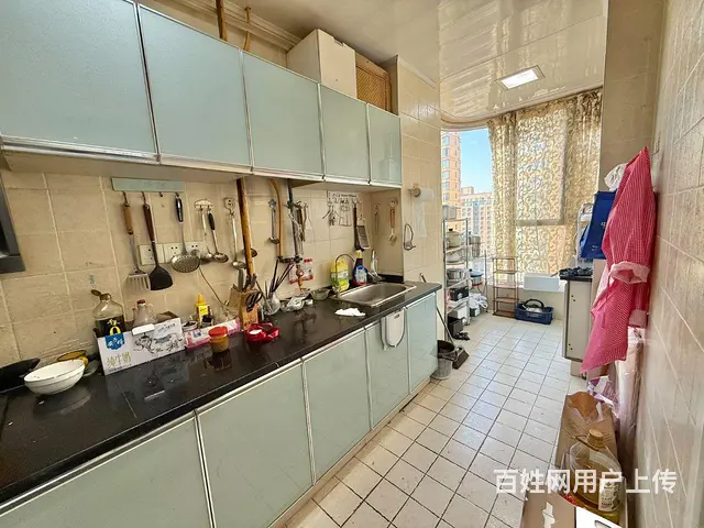 龙源湖公园 观景房 建业森林半岛 16楼 一梯一户 - 图片 12