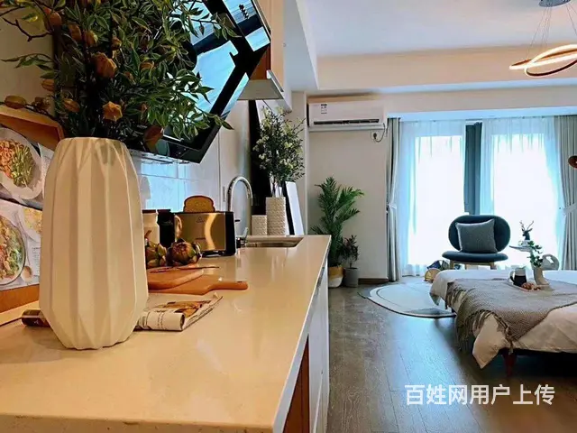活动价未来科技芯，4.79米双钥匙双户，阿里全球总 - 图片 3