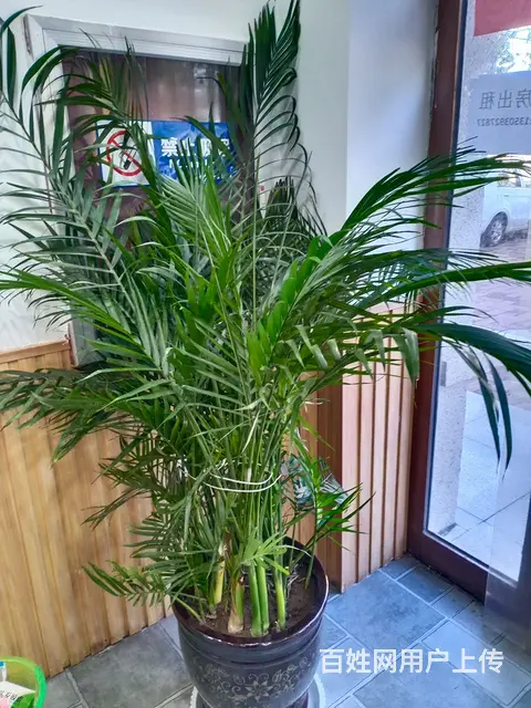门市转让低价处理物品 - 图片 11