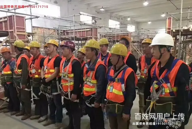 合法出国打工免费常州溧阳 - 图片 3