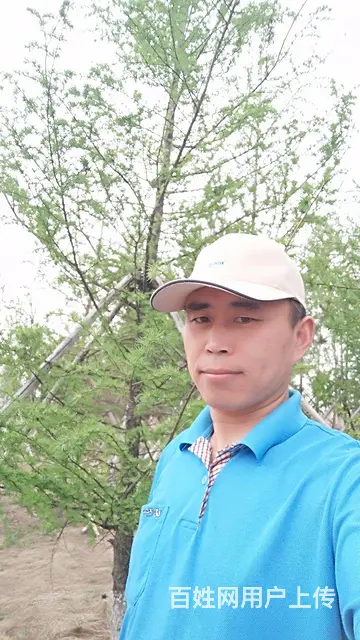 找老婆 - 图片 3