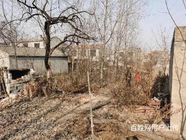 大彭镇闸口村宅基地8万330平 - 图片 2