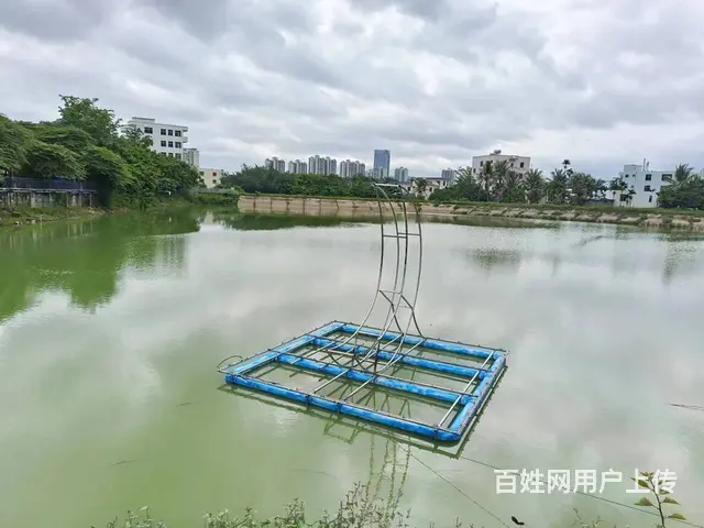（51旺铺推荐）荔枝沟花神谷生态园鱼塘及场地招合作伙伴 - 图片 10