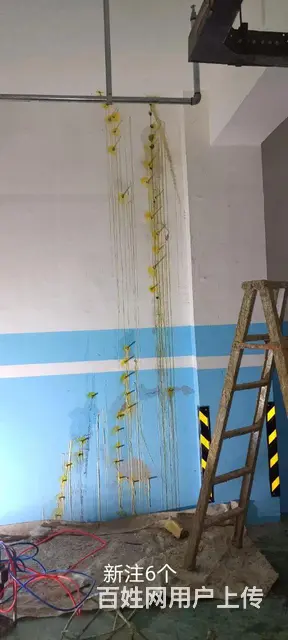 防水，保温，堵漏，彩钢瓦喷漆翻新 - 图片 8