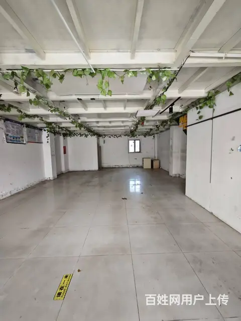 （烟台旺铺）福山区北三路香逸中央西门临街商铺出租 - 图片 4