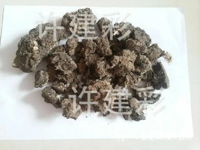 树木卖鹿粪鸡粪 猪粪 黑土 花土 假条茄子秧 - 图片 6