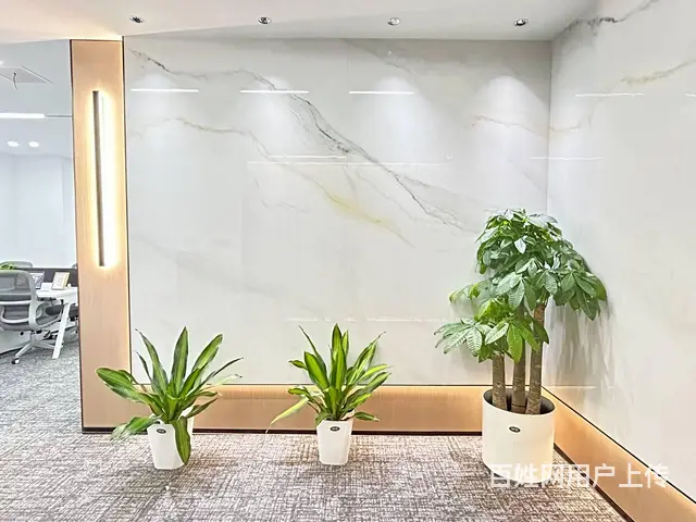 安盛1009室，206.9㎡，3+1，工区14人 - 图片 1