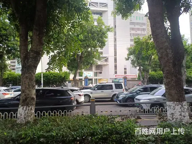 （51旺铺推荐）龙华区金龙路500平旺铺招租 - 图片 7