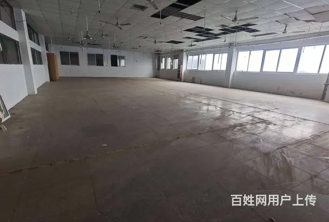 古里标准厂房 楼上2400平，有多部货梯，有蒸汽天然气，分租 - 图片 5