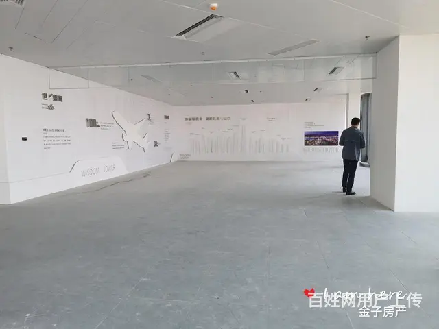CBD272米高度智慧之门300方800方 年底特价700万 - 图片 9