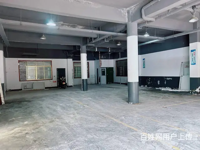 （老板本人）雷锋大道边青山镇厂房仓库房东优价直租  6337 - 图片 4