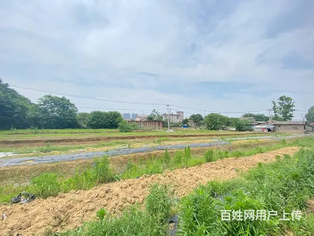 开福大道10亩坪，可做农家乐，花园，露营，种植养殖基地 - 图片 5